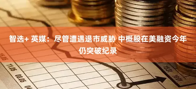 智选+ 英媒：尽管遭遇退市威胁 中概股在美融资今年仍突破纪录