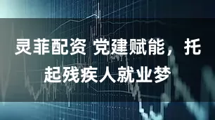灵菲配资 党建赋能，托起残疾人就业梦