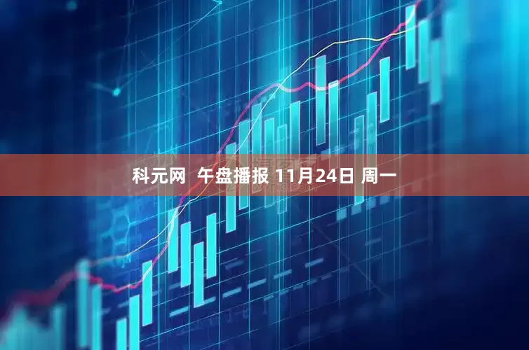 科元网 午盘播报 11月24日 周一
